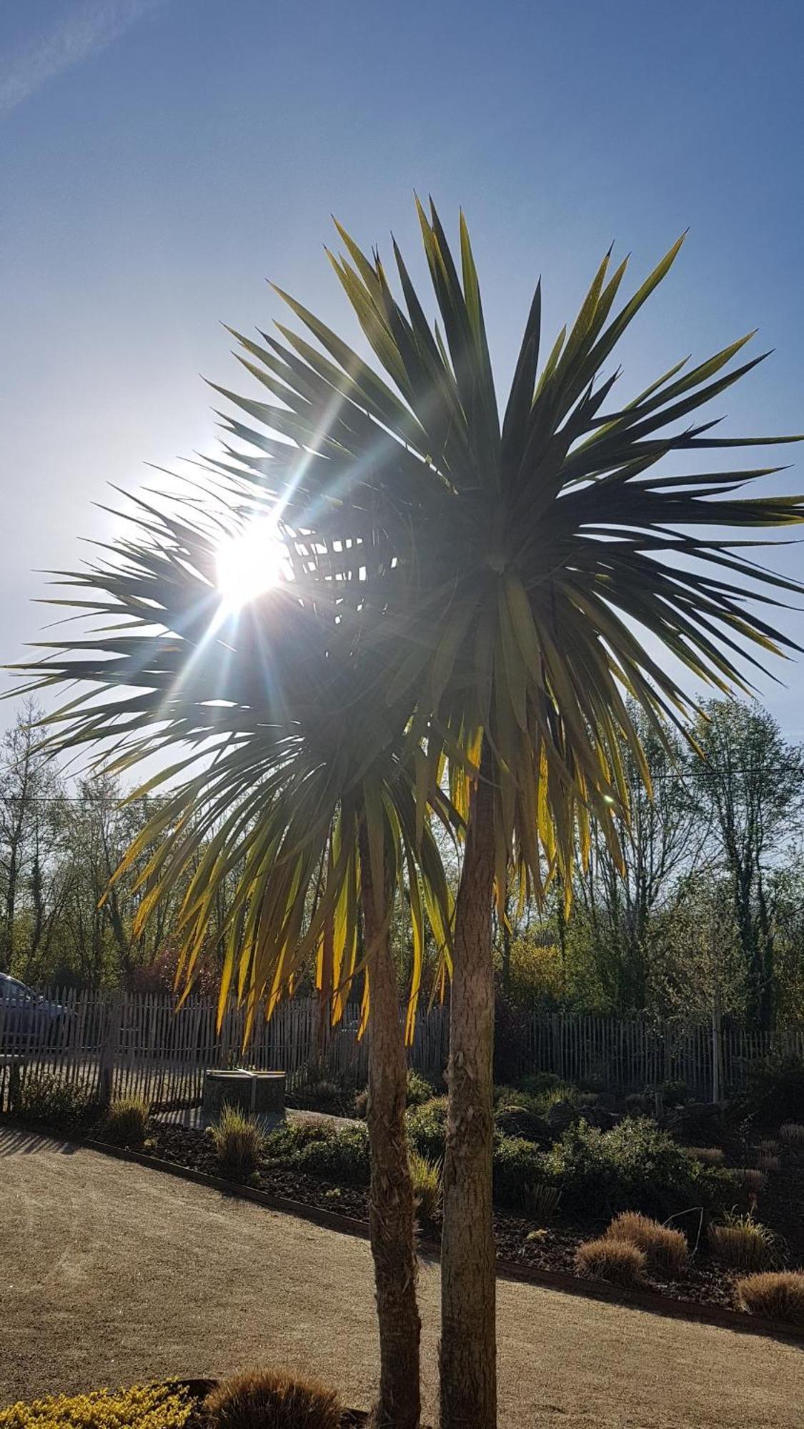 Les Gites Du Haut Pin Calorguen Buitenkant foto